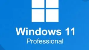 Windows 11 Professional License key